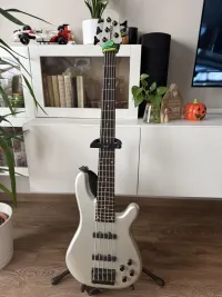 Fernandes Gravity Deluxe 5