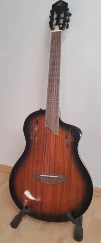 Ortega Tourplayer RTPDLX-ACA Elektroakusztikus gitár - kuszonoveny21 [Ma, 09:42]