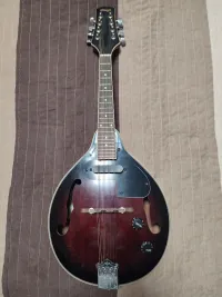 Stagg M50E Mandolin - Gábor Attila [Ma, 07:36]