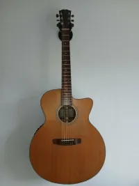 Dowina Jumbo 2014 Electro-acoustic guitar - F Csaba Lorant [Today, 3:34 pm]
