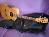 Ibanez EWN30SYENT Exotic Wood