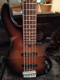 Lakland USA Dual J5 Bass guitar 5 strings - Olga juhász [Today, 7:26 pm]