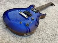 PRS SE Pauls Guitar