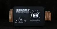 Warwick RPA 100