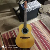 Zzyzx  Akusztikus gitár 12 húros