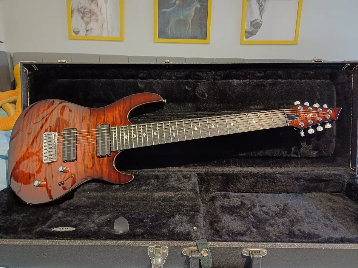 Carvin DC 800 Electric guitar 8 strings