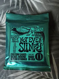 Ernie Ball Not even slinky 12-56