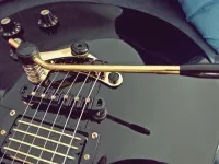 Guyker TM85 tremolo Tremolo - adkovacs [Today, 11:26 am]