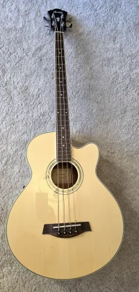 Ibanez AEB-10 ENT