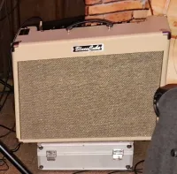 Roland Blues Cube Artist