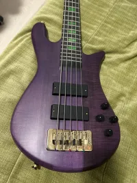 Spector Skyler Acord 5