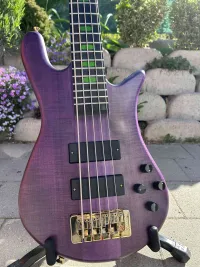 Spector Skyler Acord 5