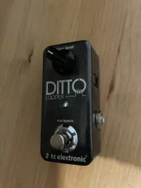 TC Electronic Ditto looper