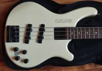 Washburn Force ABT B20