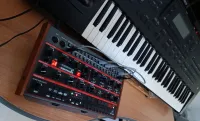 Behringer GRIND Syntetizátor - Vik242 [Yesterday, 9:56 am]