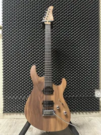 Cort G300 Raw Natural Satin Guitarra solista - Kaszta Ruben [Today, 11:29 am]