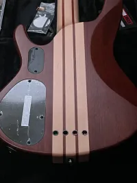 LTD D-4 NS Basgitara - Gombi Zorró [Today, 7:40 am]