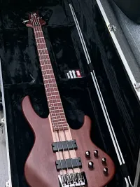 LTD D-4 NS