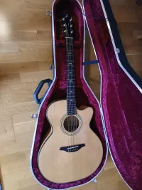 Furch S23-SF Cutaway Juan carlos VIP Elektroakustická gitara - F Csaba Lorant [Today, 6:49 am]