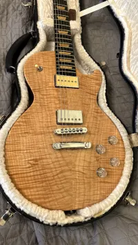 Gibson Les Paul Push Tone