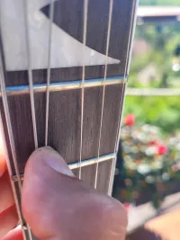 Ibanez GRG121DX-WNF Walnut Flat