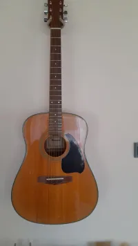 Ibanez Performance PF10