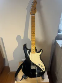 Line6 Variax 300