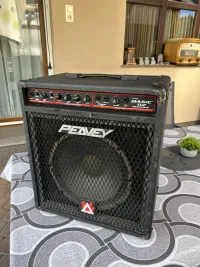 Peavey Basic 112