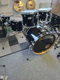 Premier Artist Birch