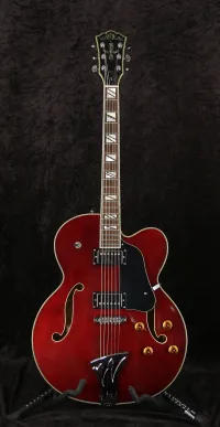 Washburn J-9 MIK