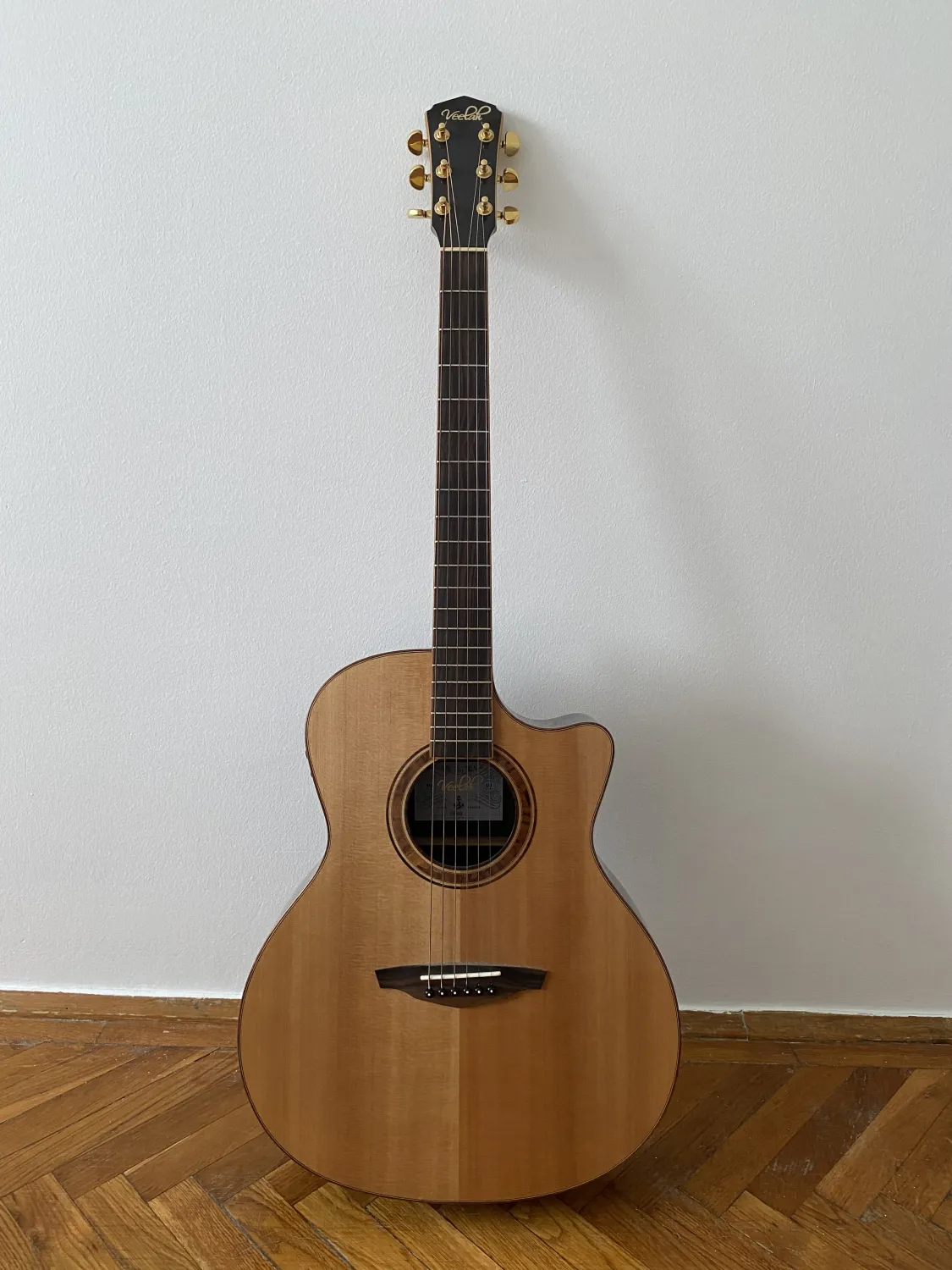 - V5GACE Electro-acoustic guitar