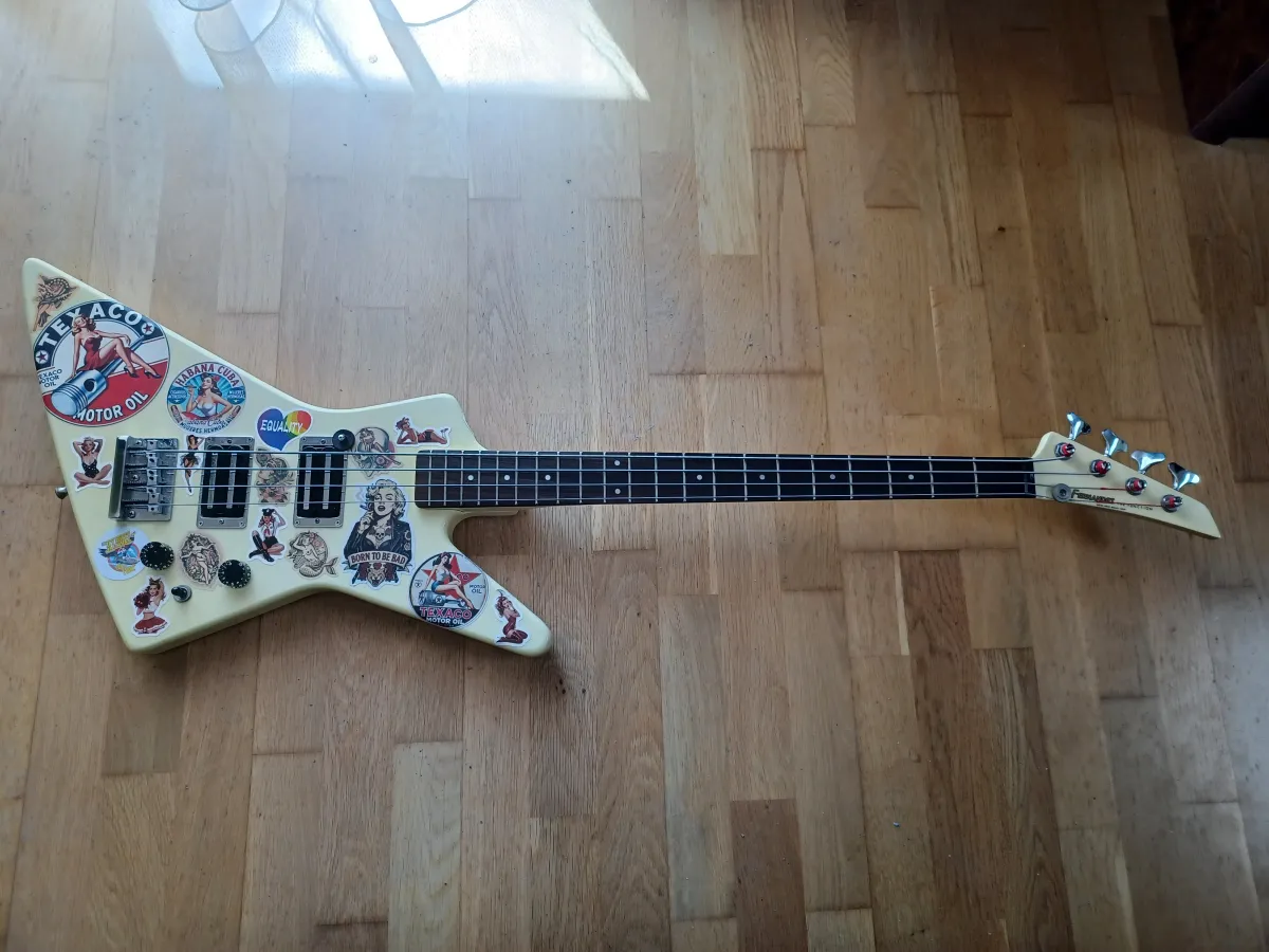 Fernandes The Function BXB-55 Explorer Bass Bass guitar