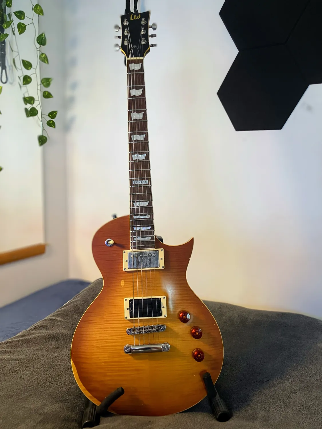 LTD Esp  ec 256 E-Gitarre
