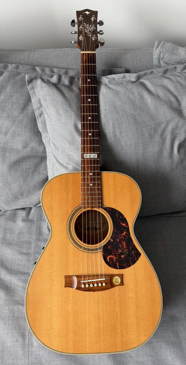 Maton EBG808 TE Acoustic guitar