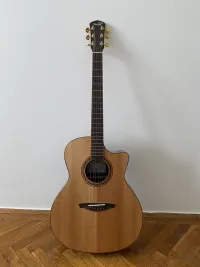 - V5GACE Electro-acoustic guitar - Tóth Boglárka 2 [Today, 11:40 am]