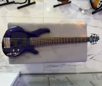 Cort Action 6
