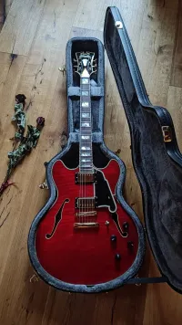 DAngelico Excel dc trans cherry
