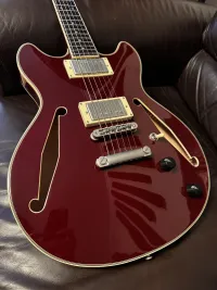 DAngelico Excel Tour Mini Electric guitar - Zolibaker [Today, 2:55 pm]