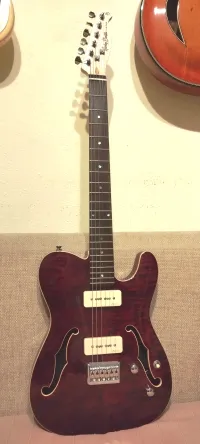 Harley Benton TE-90QM Trans Red E-Gitarre - Nagy Szabolcs Zoltán [Today, 9:54 pm]