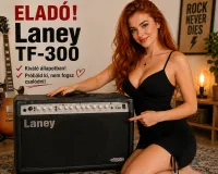 Laney TF-300