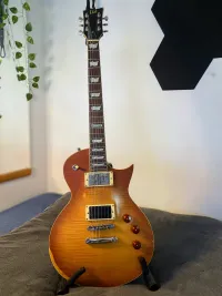 LTD Esp  ec 256