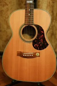 Maton EBG808 TE