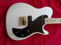 PRS SE NF53 White Doghair