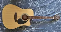 Takamine EG320C