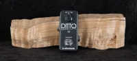 TC Electronic Ditto Looper Effect pedal - Vintage52 Hangszerbolt és szerviz [Today, 12:54 pm]