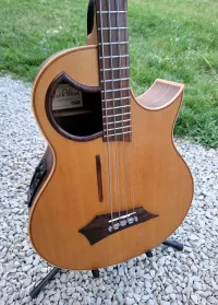 Warwick Alien 4 Electro Acoustic Bass - squierforsale [Today, 8:45 pm]