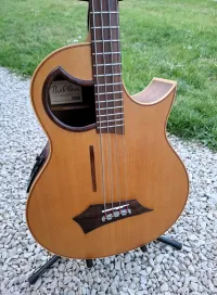 Warwick Alien 4 Electro Acoustic Bass