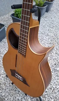 Warwick Alien 4 Elektroakustická basgitara