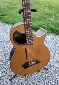 Warwick Alien 4 Bajo acústico eléctrico