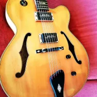 - Canova Masterclasse Jazzová gitara - Antonio Boros [Today, 8:28 am]